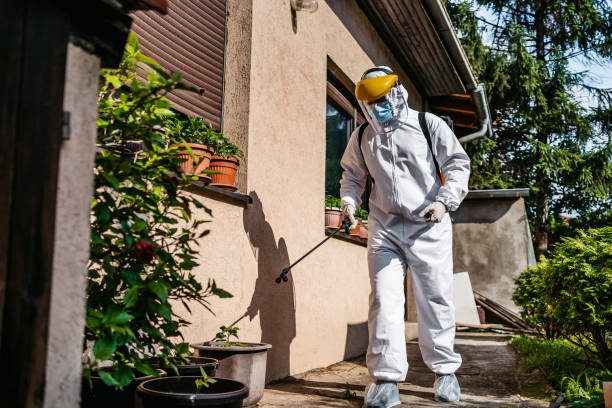 Best Pest Control Near Me  in Highlands, TX