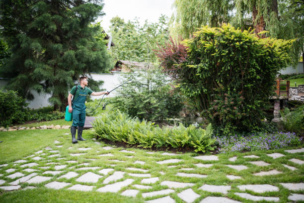 Best Mosquito Control Services  in Highlands, TX