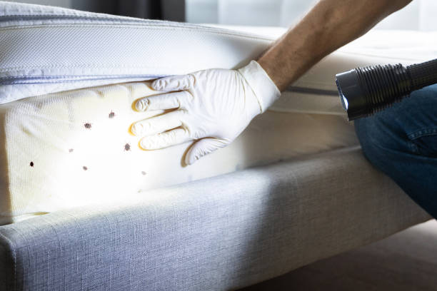 Best Residential Pest Control  in Highlands, TX