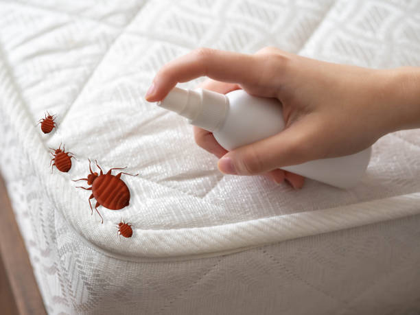 Pest Prevention Services in Highlands, TX