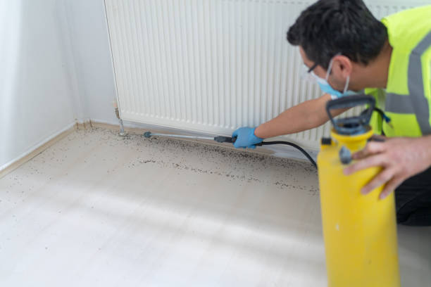 Best Commercial Pest Control Services  in Highlands, TX
